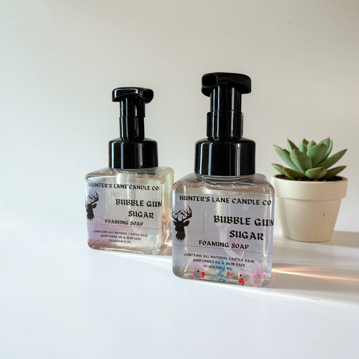 10 oz Foaming Hand Soap