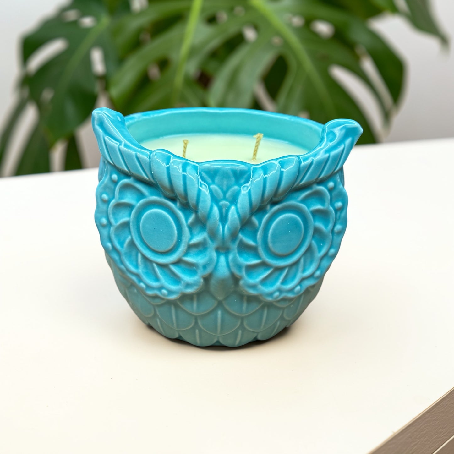 Owl Soy Candle